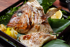 Tai Kabuto Shioyaki/Teriyaki